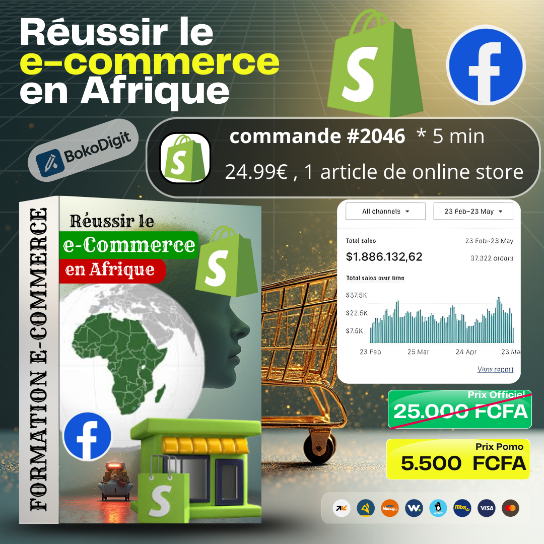 RÉUSSIR LE E-COMMERCE EN AFRIQUE